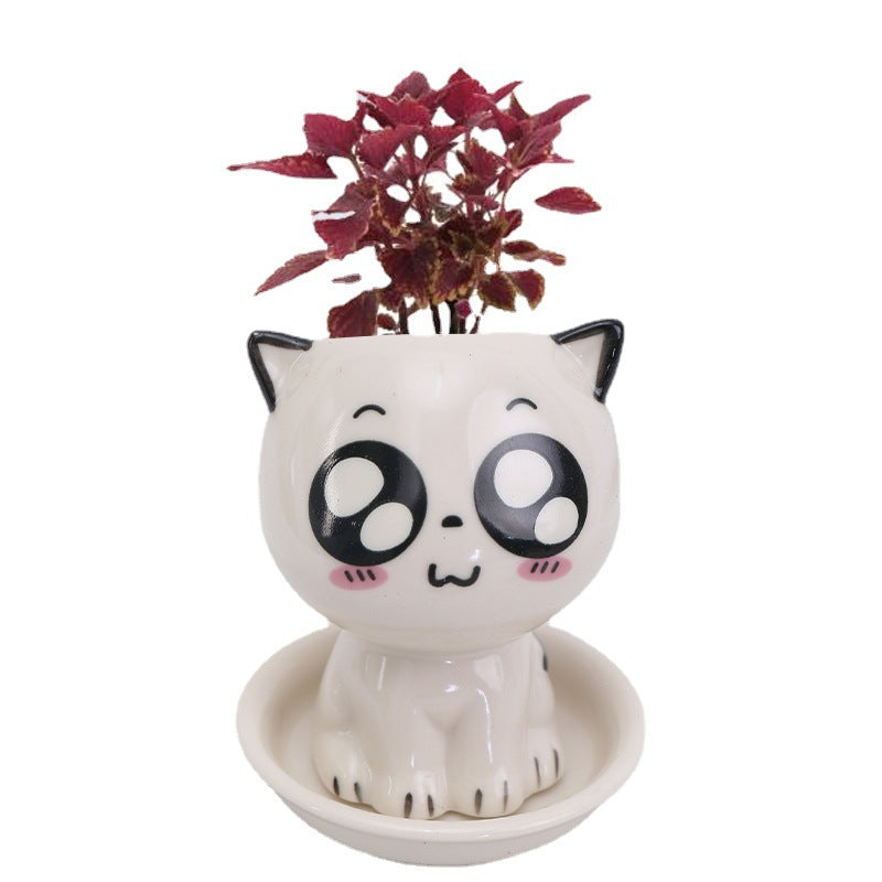 Mini Cat Shaped Ceramic Flowerpot for Desk Decor