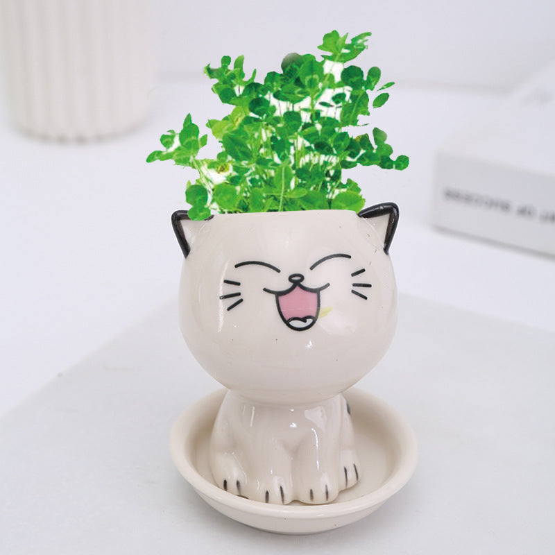Mini Cat Shaped Ceramic Flowerpot for Desk Decor